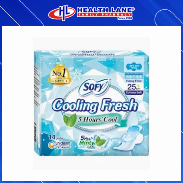 SOFY COOLING DAY ULTRA SLIM WING 25CM 14'S